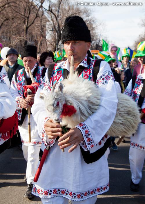 Fotografie de eveniment - St. Patrick's Day - (44).jpg